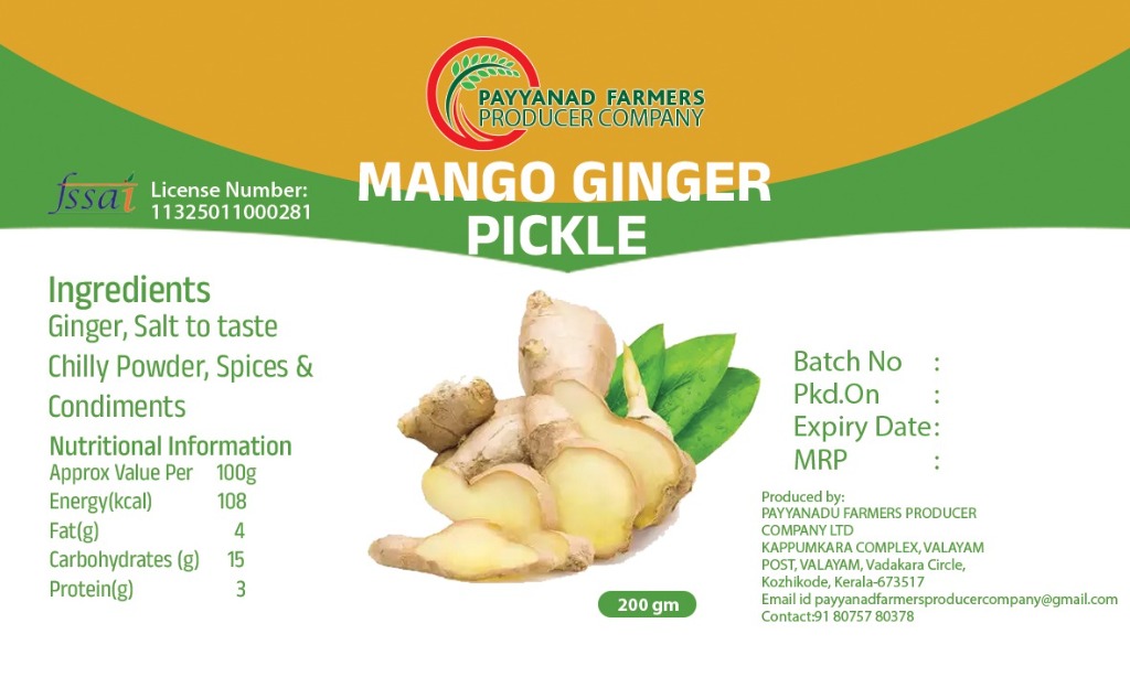 Mango Ginger Pickle – Payyanad Farmers Producer Company
